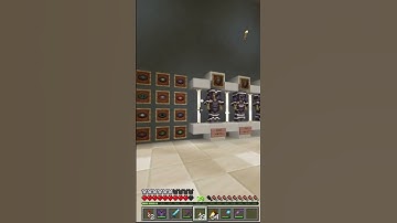 Minecraft Museum (Survival World Season V)  #minecraft