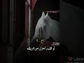 حالات اخ لو بيني وبين الحزن فاصل حالات اخ لو بيني وبين الحزن فاصل