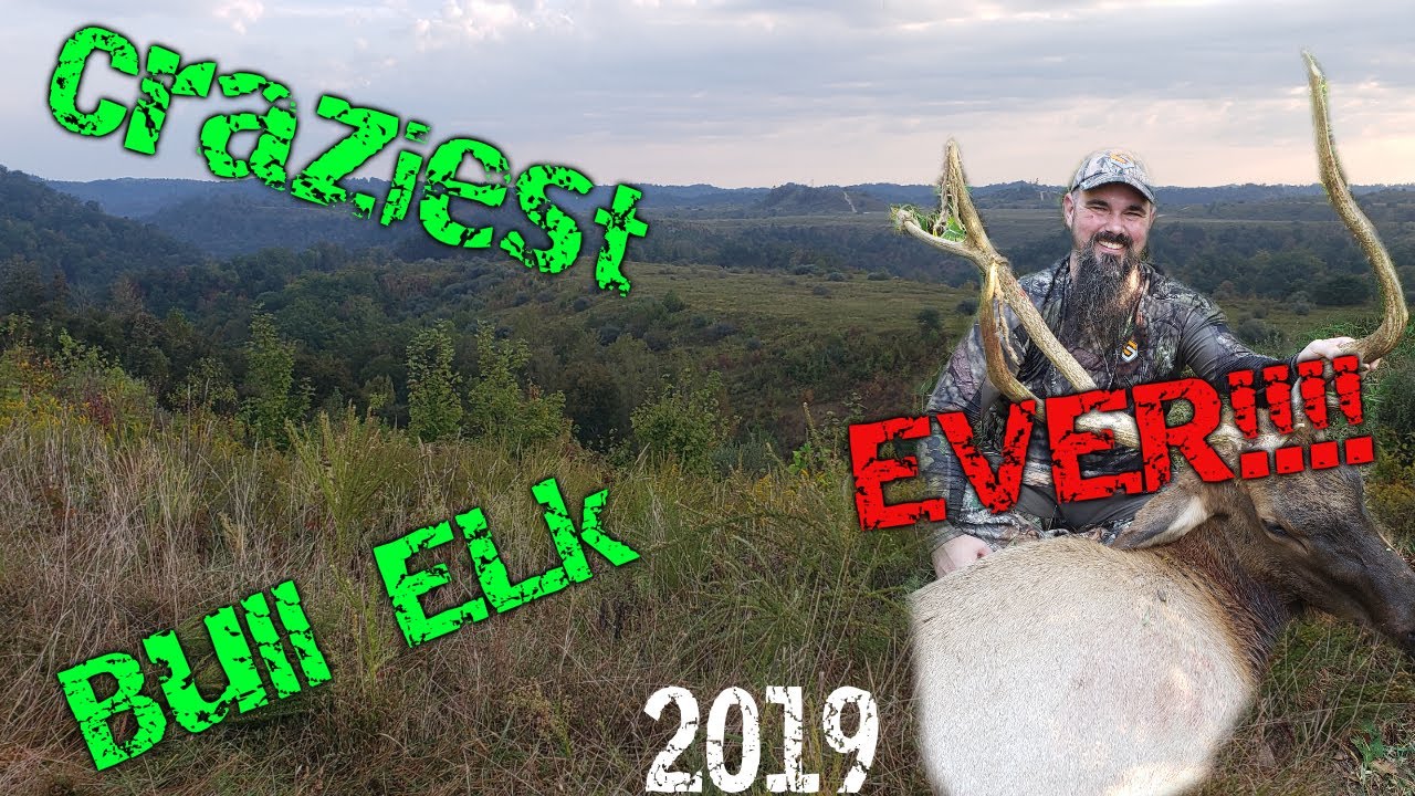 2019 KY Elk Hunt with Lost Mountain Outfitters YouTube