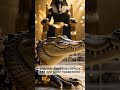 Египетские фараоны спали с крокодилами под кроватью  #история #интересно #факты
