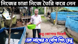 শুধু জোগাড় দিয়েই নিজের বাড়ির উঠানে এক লাখেরও বেশি  শিং চারা তৈরি করেছেন