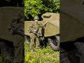 THE GHOST ARMY OF WORLD WAR 2 #history