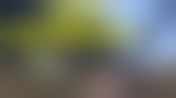 Very Salty Neighbours!! Vanilla Rust!