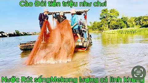 Trở lại nghề cào Đôi sông tiền! Mình mừng lắm-