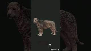 GREAT ONE JAGUAR is DOWN!!! 😲👀 #shorts #cotw #thehunter #gaming #pc