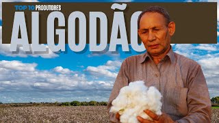 Produtores de ALGODÃO | TOP 10 | MY 2022/2023