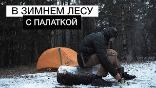 C ПАЛАТКОЙ в ЗИМНИЙ лес | Поход по зимнему лесу