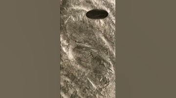 Coin infinite Loop - #coin #money #loop #infinite #transition #relax #satisfying #discover #macro
