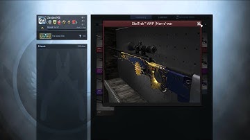 CS:GO EVERY AWP SKIN SHOWCASE - 2016