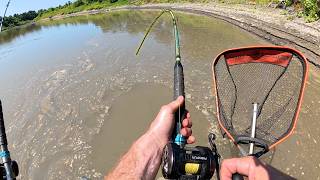 This River Is LOADED WITH FISH Big Fish