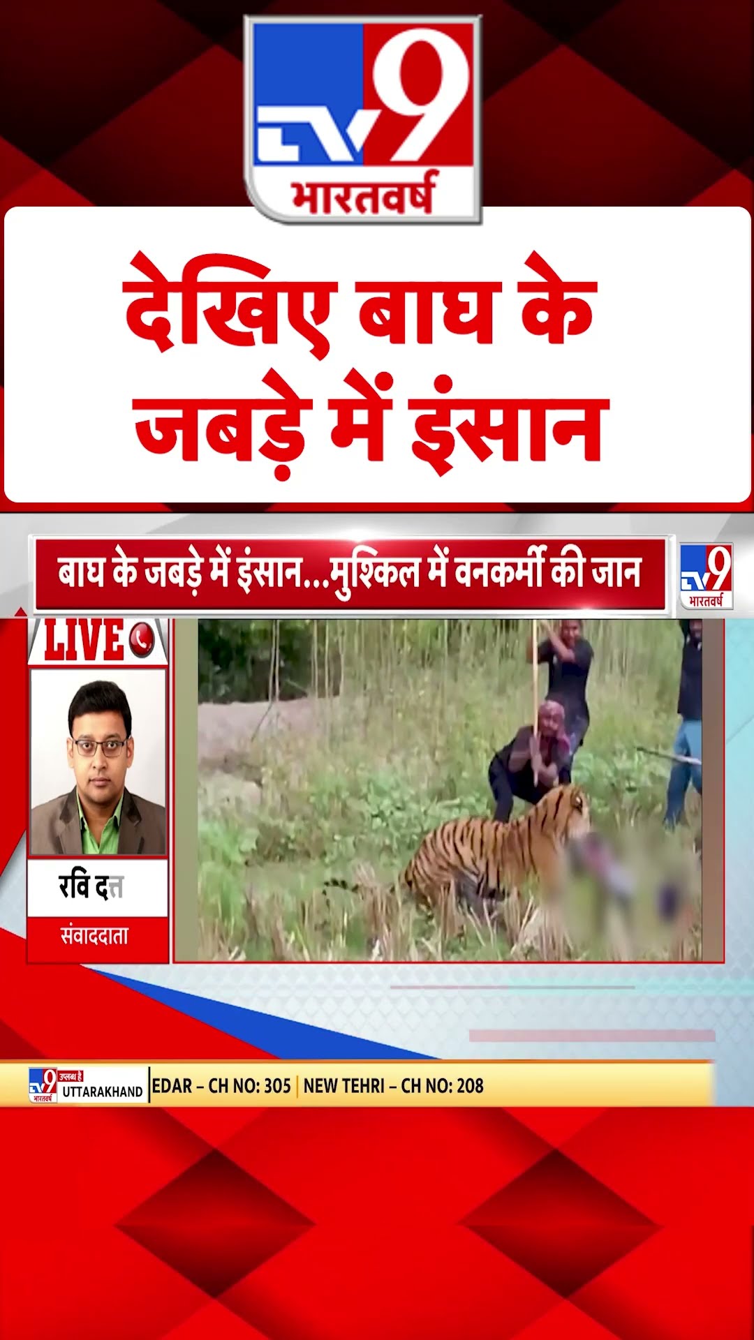 देखिए बाघ के जबड़े में इंसान | #tv9shorts