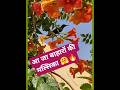 Nature lover ❣️ Beautiful Nature View #ramlal59rb #nature #beauty #viral #shorts #flowers