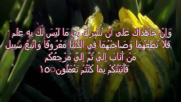 سورة لقمان من الاية 12 الى الاية 19 بصوت الاستاذ دحيم الحماد لعام 1435هـ