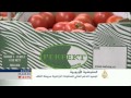 اقتصاد المنتصف 11/9/2014