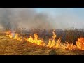 Окупанти продовжують влаштовувати пожежі в Чорнобильській зоні