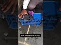 Video Image