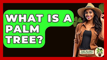 What Is A Palm Tree? - The Plant Enthusiast