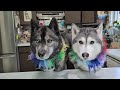 End of video