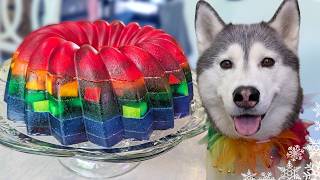Rainbow Gummy Fruit Cake For Dogs  🌈 Easy DIY Dog Treats