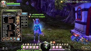 Dragon nest beginner