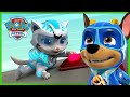 ¡Los Mighty Pups Super Paws y la Cuadrilla Cat detienen un cohete! - PAW Patrol Episodio Español