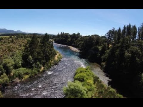 Viv Bick Flick 2022 4K - YouTube