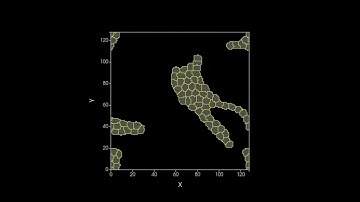 Cell Migration Compilation - CompuCell3D