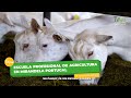 Escuela profesional de agricultura en Mirandela Portugal  - TvAgro por Juan Gonzalo Angel Restrepo