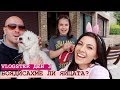 СТАНАХА ЛИ ЯЙЦАТА? ✼ VLOGSTER ДЕН 3 + НАГРАДИ/GIVEAWAY