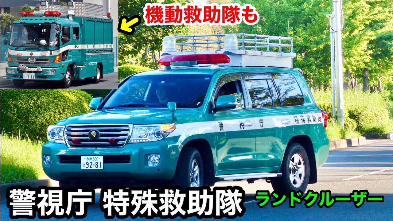 激レア車両】警視庁特殊救助隊のランドクルーザー！ 機動救助隊の