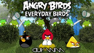 Angry Birds: Everyday Birds