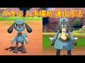 【リオル → ルカリオ】入手場所 進化方法 攻略【ポケモン ソード シールド ポケモン剣盾】