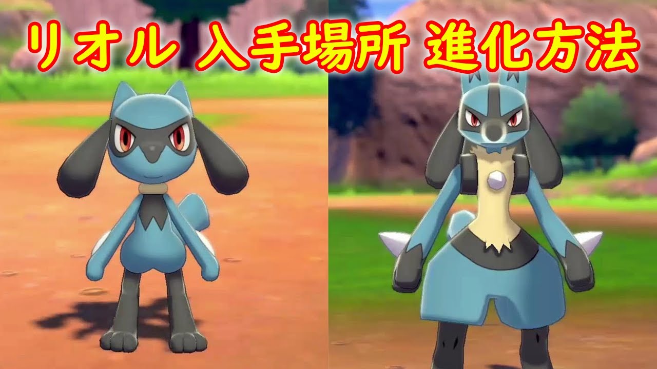 リオル ルカリオ 入手場所 進化方法 攻略 ポケモン ソード シールド ポケモン剣盾 Youtube