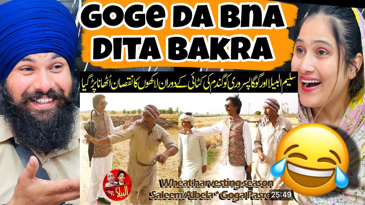 Goga ban gya Kama funny reaction video | albela tv new video | #reaction #funny #react #viral