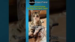 Kuşlar Benide Alın 😼