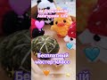 Бесплатный мастер-класс по вязанию мини черепашки #амигуруми