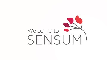 Sensum Rehab Addiction Treatment Model