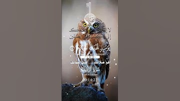 تلاوة خاشعة عطرة مباركة جميلة عذبة للشيخ سعد الغامدي سورة الزلزلة