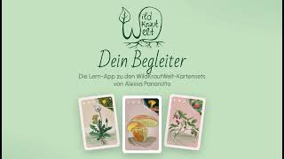 Your Companion: The App for WilKrautWelt Flashcards screenshot 4