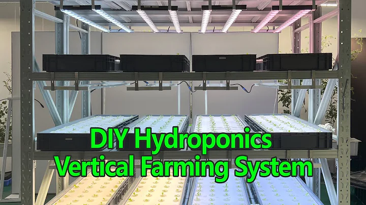 How To Make Your Own DIY hydroponic System AT Home