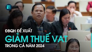 ĐBQH đề xuất giảm thuế VAT trong cả năm 2024 | VTC1