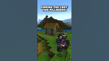Pov :- you are doing raid. But the last Pillagers remains 😂😂 #minecraft #games #memes #funny #mcpe