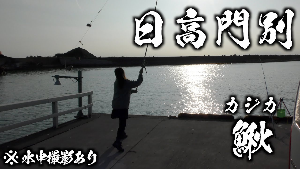 【釣り】日高門別にカジカ釣り