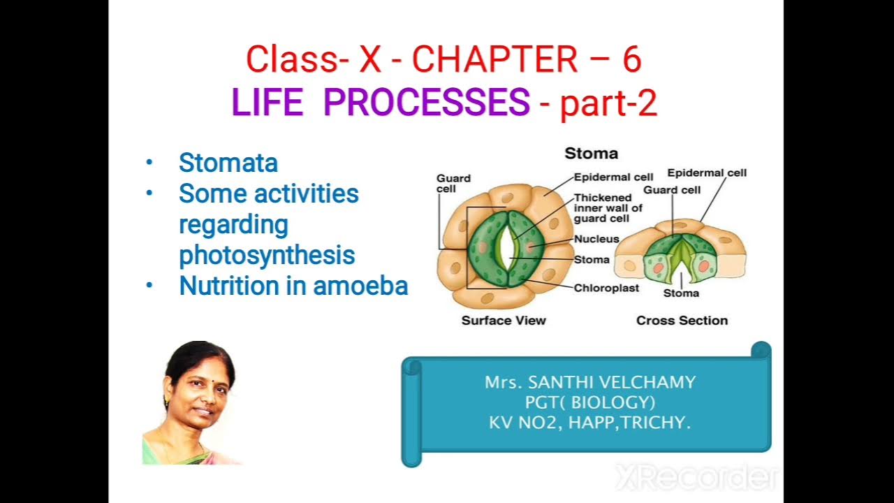 Processes of Life. Life processes