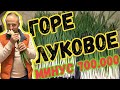 БИЗНЕС ЛУК НА ПЕРО. СКОЛЬКО ДЕНЕГ ПРИНОСИТ ВЫРАЩИВАНИЕ ЛУКА С НУЛЯ. ОШИБКИ И ВЫВОДЫ.