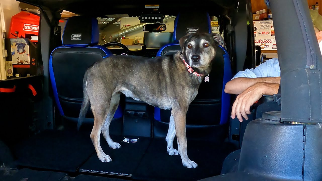 Jeep Wrangler Rear Seat Delete with Lockable Storage by Cargo Dog - YouTube