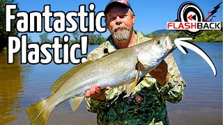 Why Soft Plastics Are Such DEADLY Fish Catchers! screenshot 4