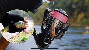 Câu cá suối sau lũ | Cá mương siêu to (Fishing after the flood)