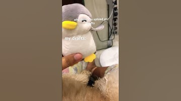 #funny #imdraft #draftday #draft #jokes #firstdraft #draftchallenge