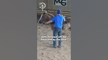 Intro To Long Lining! Part 5! | The Horse Guru-Michael Gascon